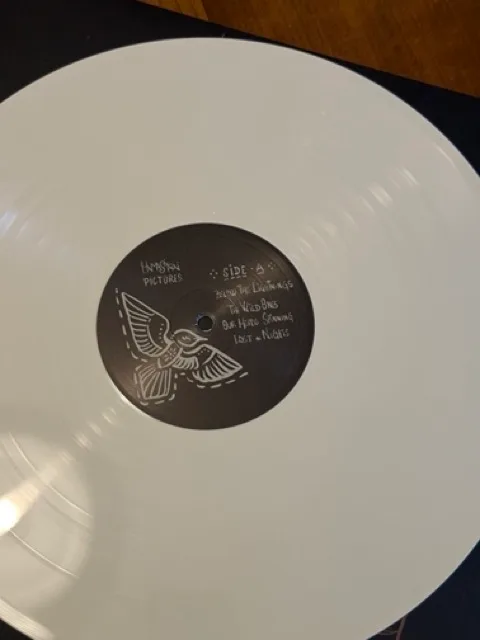 Vinyle Pictures 2026 HamaSaari